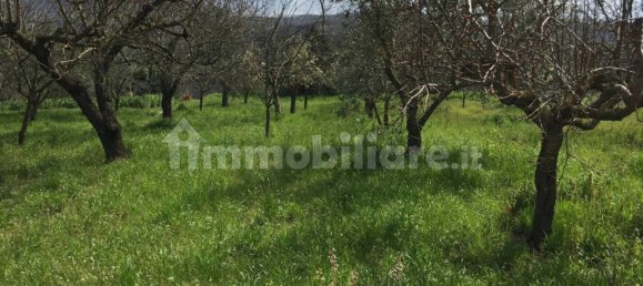 10 Schlafzimmer Haus in Telese Terme, Italy, Nr. 115110 4