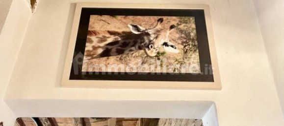 1 bedroom Apartment in Grosseto, Italy No. 79183 12