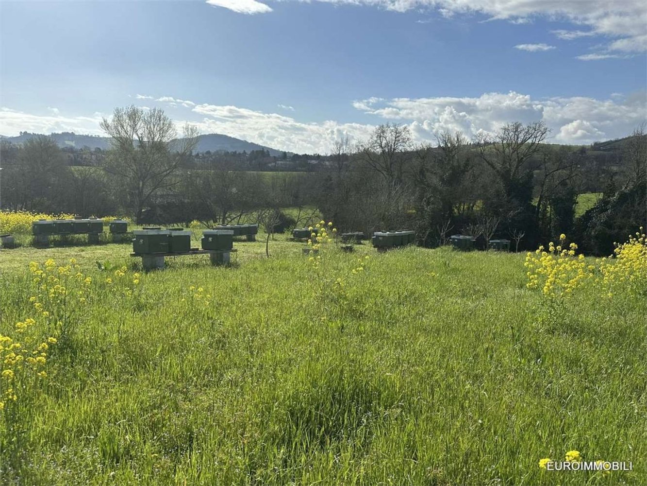  قطعة أرض في Traversetolo, Italy 14080متر مربع رقم 61304