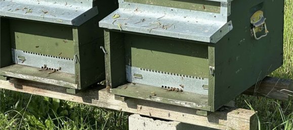  قطعة أرض في Traversetolo, Italy 14080متر مربع رقم 61304 20