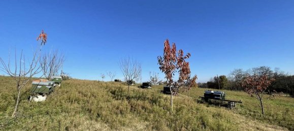  قطعة أرض في Traversetolo, Italy 14080متر مربع رقم 61304 35