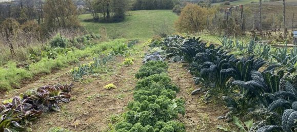  قطعة أرض في Traversetolo, Italy 14080متر مربع رقم 61304 2