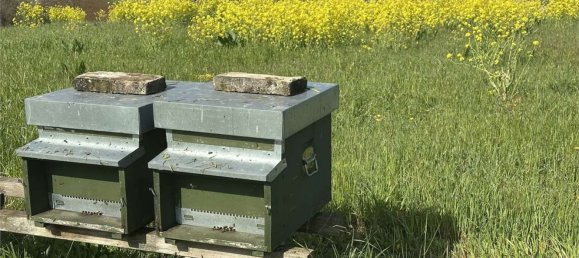  قطعة أرض في Traversetolo, Italy 14080متر مربع رقم 61304 23