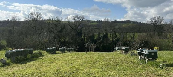  قطعة أرض في Traversetolo, Italy 14080متر مربع رقم 61304 24