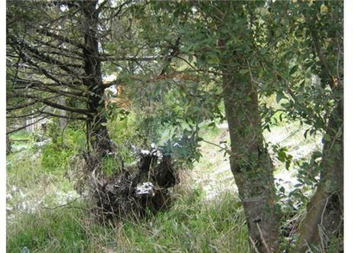  Land in San Carlos de Bariloche, Argentina No. 46709