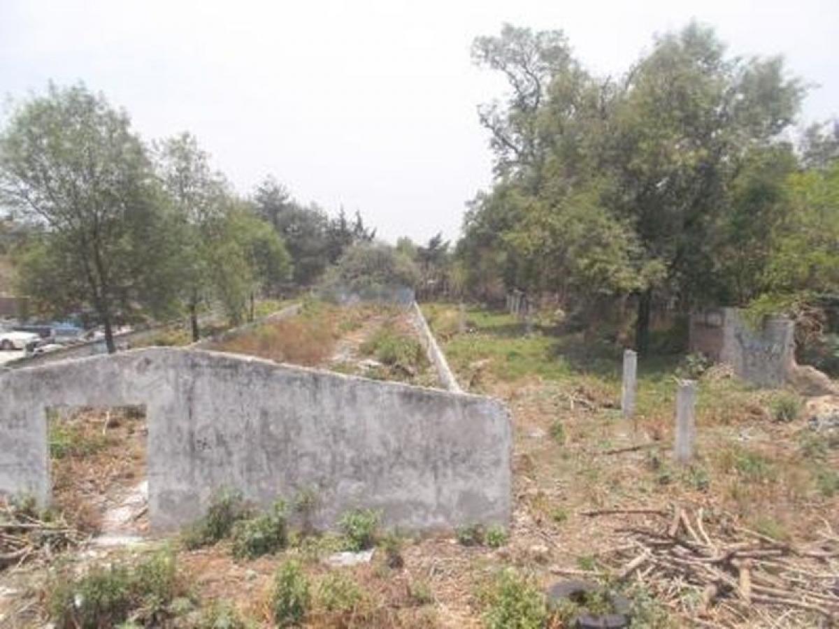  Land in Naucalpan de Juarez, Mexico No. 203329