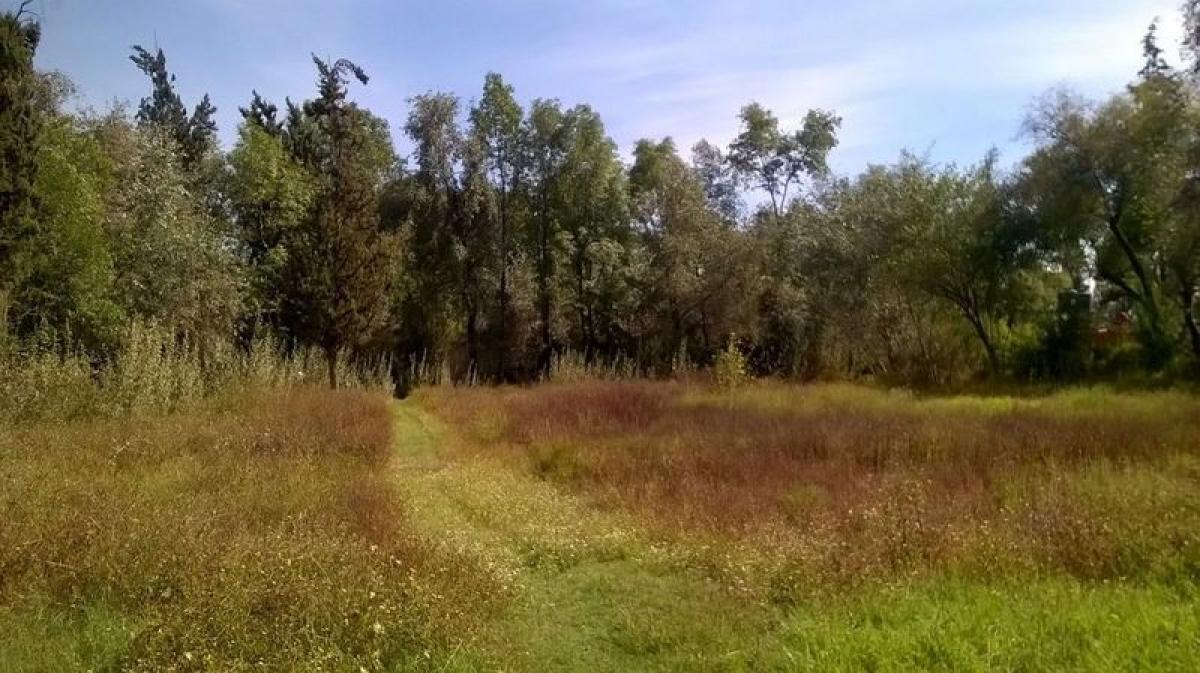 Grundstück in Ciudad Nezahualcoyotl, Mexico, Nr. 204618