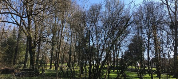 Terreno em Cabariot, France 1963 m² N.º 109057 2