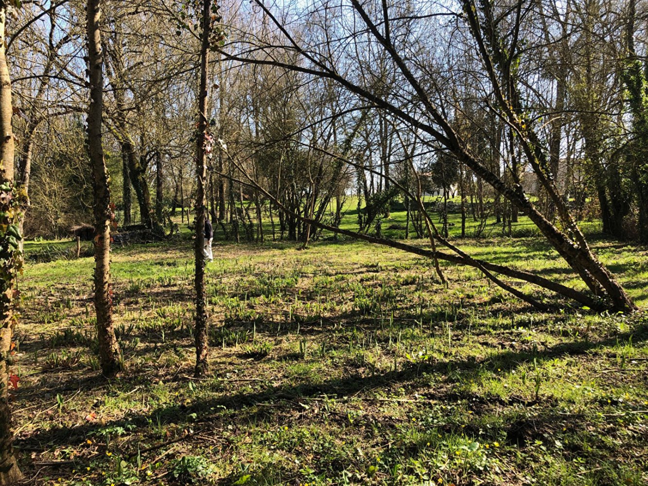 Terreno em Cabariot, France 1963 m² N.º 109057