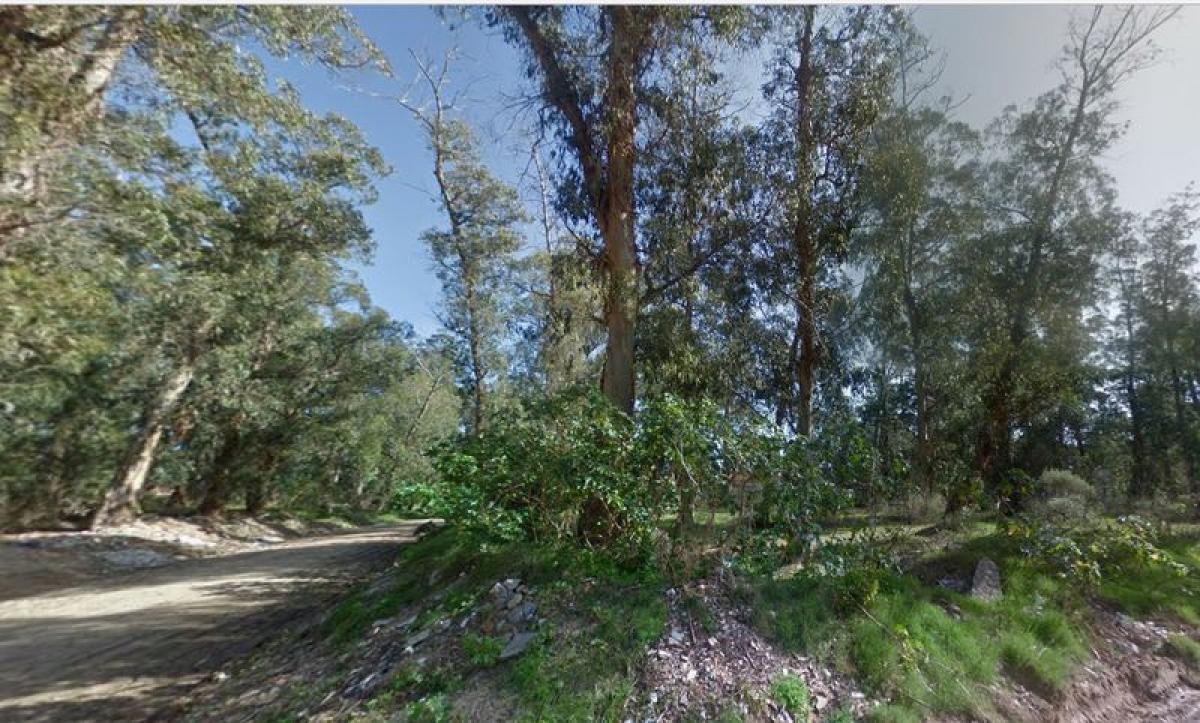  Land in Maldonado, Uruguay No. 15154