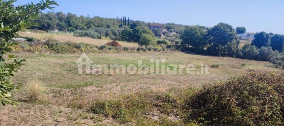 8750m² Land in Lanuvio, Italy No. 81405 2