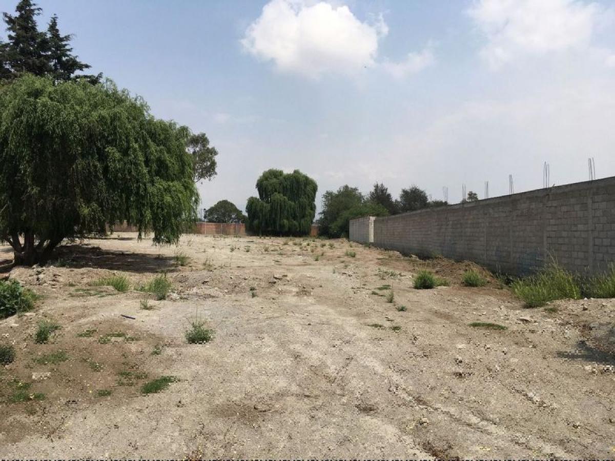  Land in Mexico No. 206770