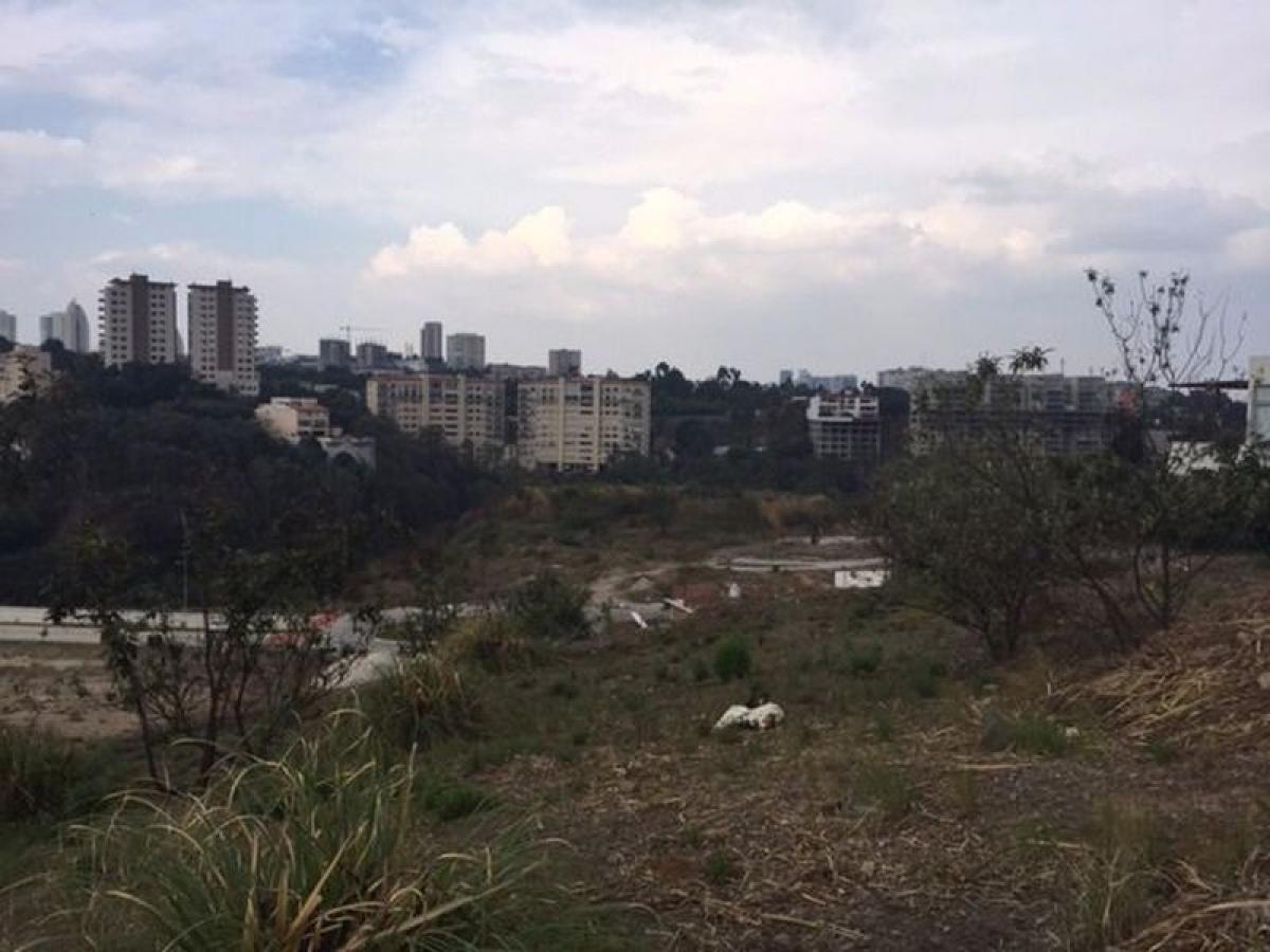  Land in Mexico No. 203730