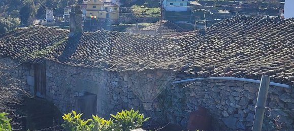 3 Schlafzimmer Haus in Castedo, Portugal, Nr. 40774 3