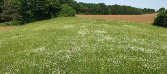 Terreno en Mogersdorf, Austria 11386 m² No. 227513 6