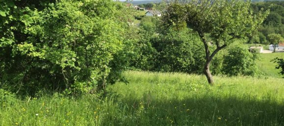 Terreno en Mogersdorf, Austria 11386 m² No. 227513 8