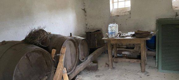 Terreno en Mogersdorf, Austria 11386 m² No. 227513 3