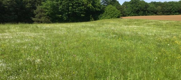 Terreno en Mogersdorf, Austria 11386 m² No. 227513 5