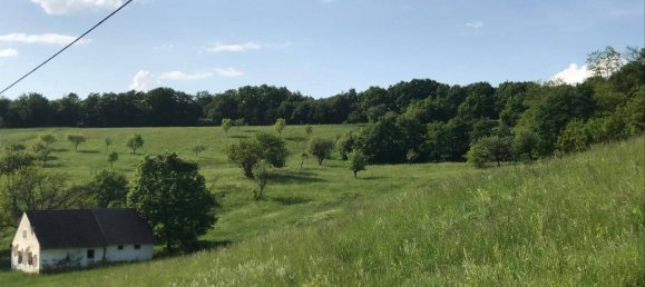 Terreno en Mogersdorf, Austria 11386 m² No. 227513 7