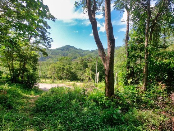 12000m² Commercial property in Bang Tao, Thailand No. 12586