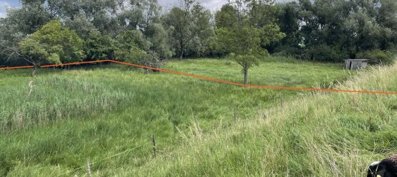 Земельный участок в Pinneberg, Германия № 65005 13