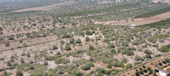  قطعة أرض في Sao Bartolomeu de Messines, Portugal 2080متر مربع رقم 51320 3