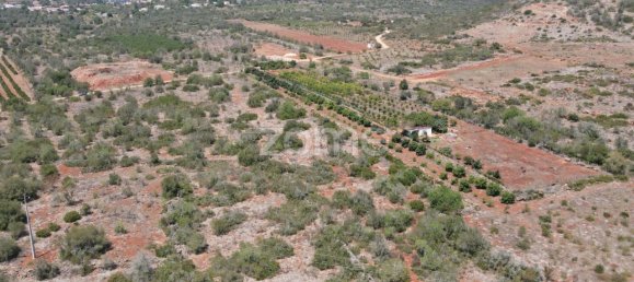  قطعة أرض في Sao Bartolomeu de Messines, Portugal 2080متر مربع رقم 51320 6