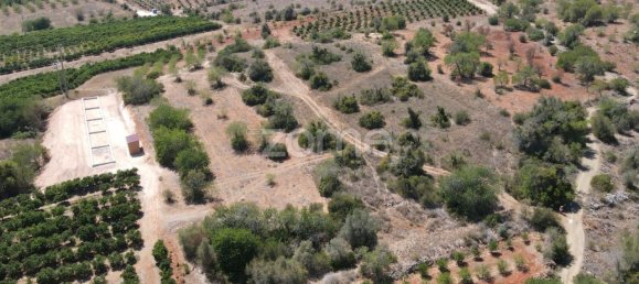  قطعة أرض في Sao Bartolomeu de Messines, Portugal 2080متر مربع رقم 51320 10