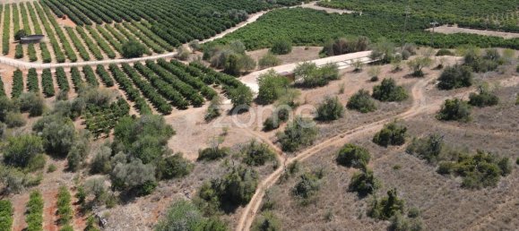  قطعة أرض في Sao Bartolomeu de Messines, Portugal 2080متر مربع رقم 51320 5