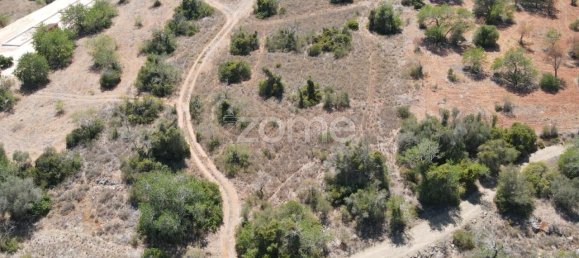  قطعة أرض في Sao Bartolomeu de Messines, Portugal 2080متر مربع رقم 51320 8