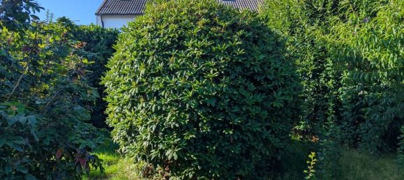 3-salle Maison de ville à Harburg, Germany No. 231603 15