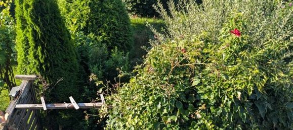 3-salle Maison de ville à Harburg, Germany No. 231603 16