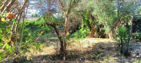 4 bedrooms Villa in Le Cannet, France No. 326827 4