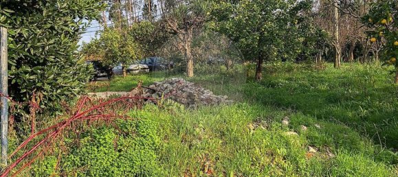 Entrepôt à Ovar, Portugal 5388m² No. 90424 13