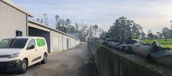 Entrepôt à Ovar, Portugal 5388m² No. 90424 8