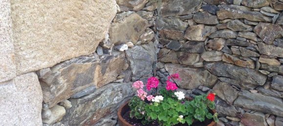 2 Schlafzimmer Haus in Alijo, Portugal, Nr. 135326 19