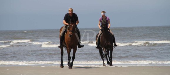 Bungalow de 21 divisão em Friesland, Germany N.º 195101 25