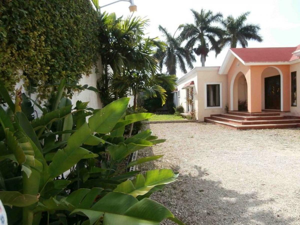 3 bedrooms House in Yucatan, Mexico No. 300