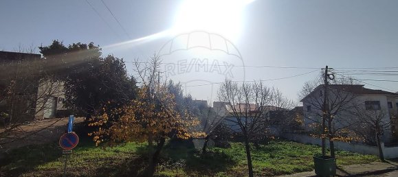 Casa T3 em Avelar, Portugal N.º 20083 41