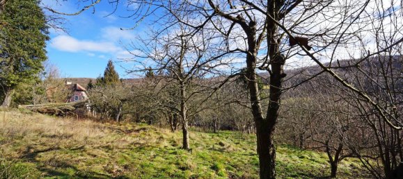 Grundstück in Mauerbach, Austria, Nr. 123515 2