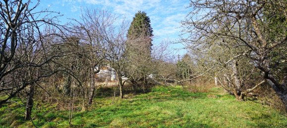 Grundstück in Mauerbach, Austria, Nr. 123515 5