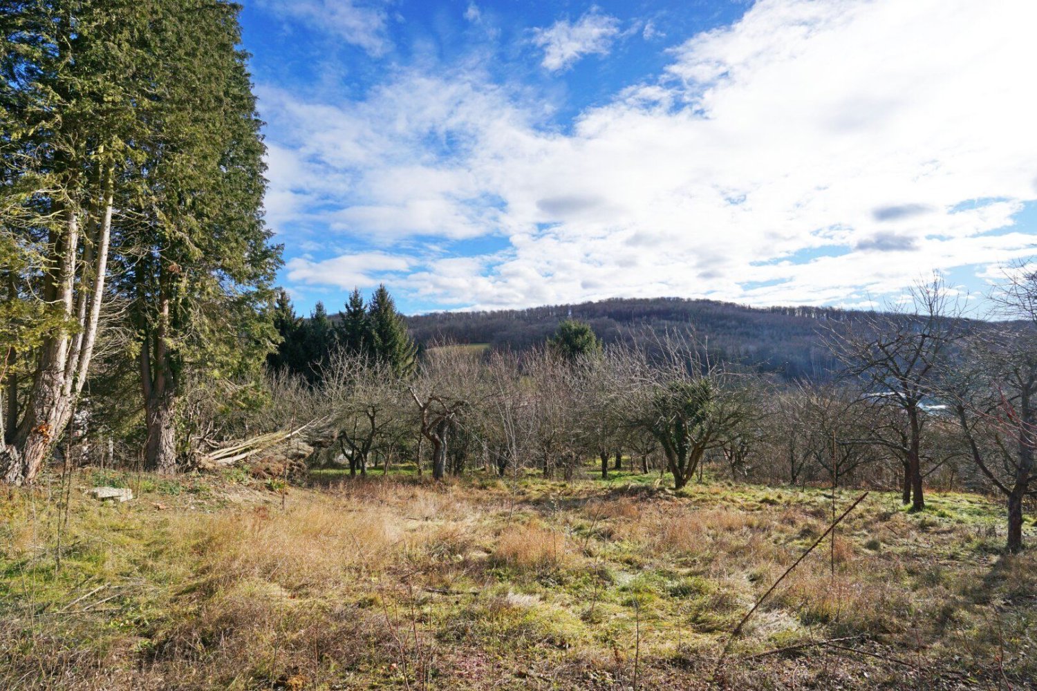 Grundstück in Mauerbach, Austria, Nr. 123515