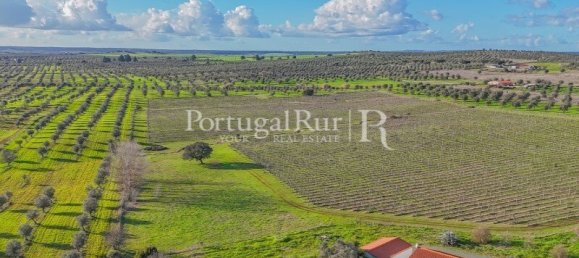 Земельный участок с 4 спальнями в Авиш, Португалия № 128593 26