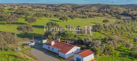 Земельный участок с 4 спальнями в Авиш, Португалия № 128593 23