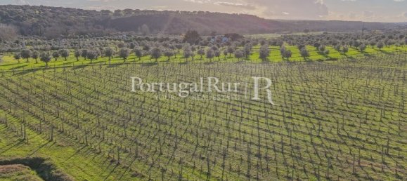 Земельный участок с 4 спальнями в Авиш, Португалия № 128593 10