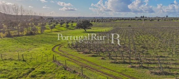 Земельный участок с 4 спальнями в Авиш, Португалия № 128593 2