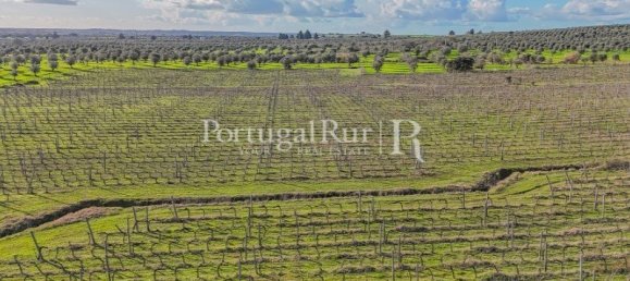 Земельный участок с 4 спальнями в Авиш, Португалия № 128593 6