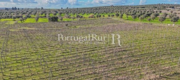 Земельный участок с 4 спальнями в Авиш, Португалия № 128593 8