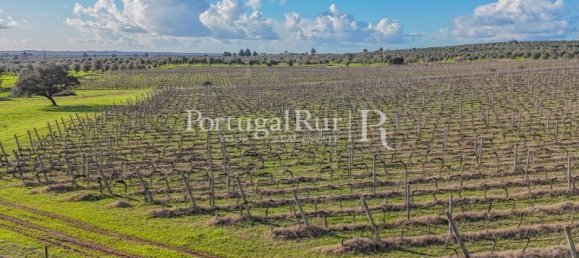 Земельный участок с 4 спальнями в Авиш, Португалия № 128593 42