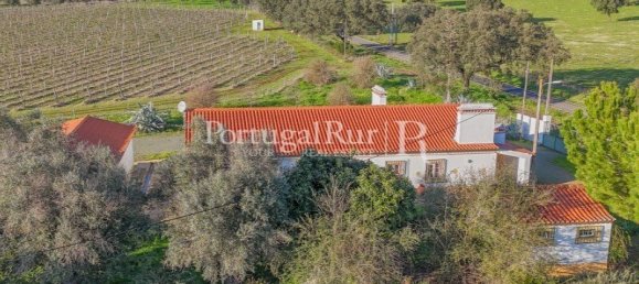 Земельный участок с 4 спальнями в Авиш, Португалия № 128593 17